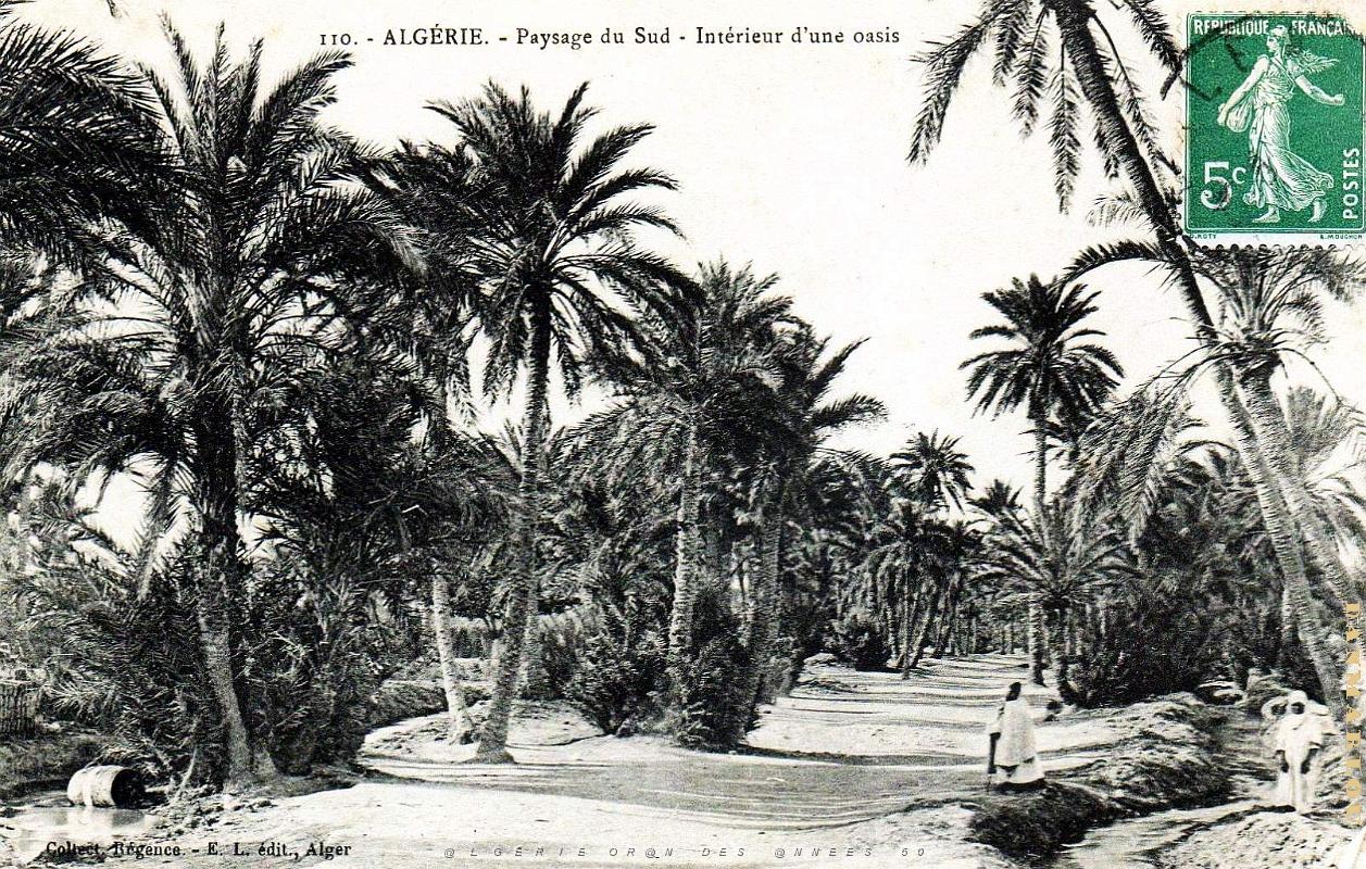 Algerie - Oasis.jpg
